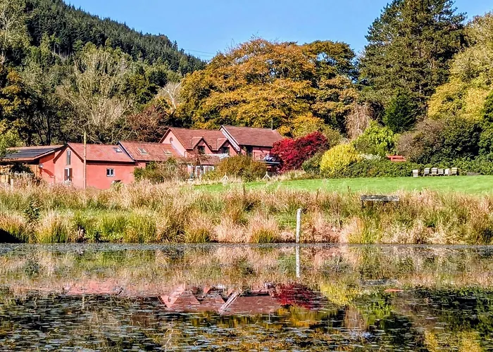 5 Holiday Cottages, Close To Bike Park Wales, Pen Y Fan, Brecon