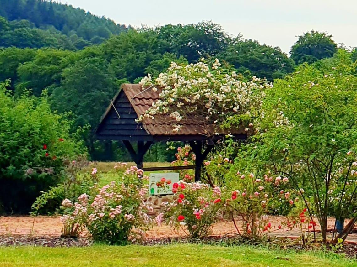 5 Cottages, Close To Bike Park Wales, Pen Y Fan, Brecon *