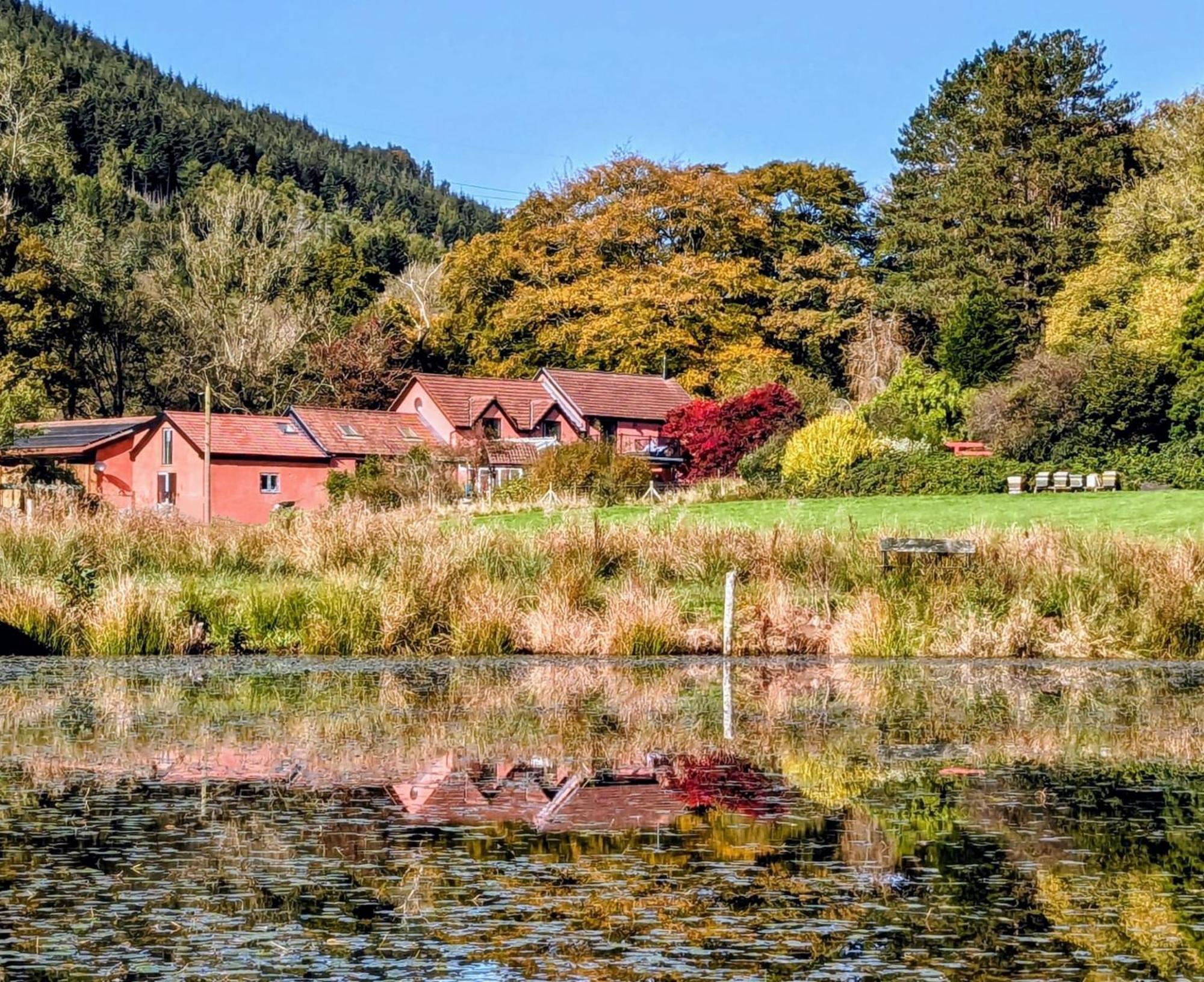 Apartment 5 Cottages, Close To Bike Park Wales, Pen Y Fan, Brecon Merthyr Tydfil